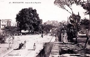 2964- Mostaganem - Avenue de la Pepiniere
